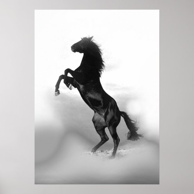 Póster Cavalo-de-Criação Branco-Preto (Frente)