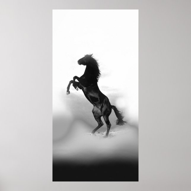 Poster Cavalo-de-Criação Branco-Preto (Frente)