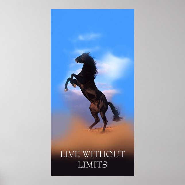 Poster Cavalo De Criação Motivacional Vive Sem Limites (Frente)