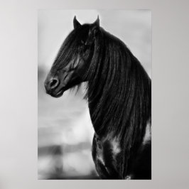 Póster Cavalo de garanhão preto da Frísia