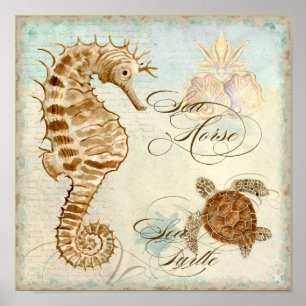 Poster Cavalo de mar, praia litoral da tartaruga de mar -