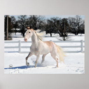 Póster Cavalo de passeio de Tennessee na neve