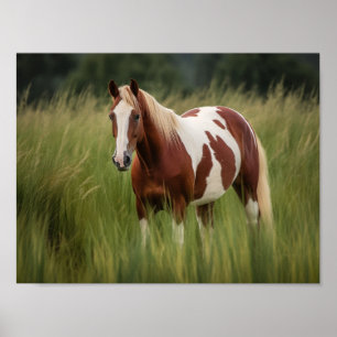 Poster Cavalo de Pinto Mustang na Grama Alta