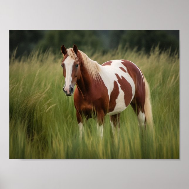 Poster Cavalo de Pinto Mustang na Grama Alta (Frente)