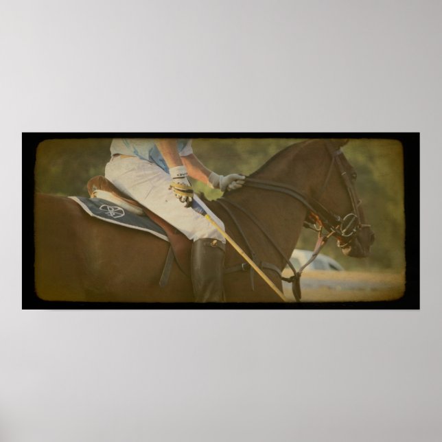 Póster Cavalo de Polo (Frente)