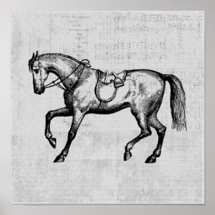 Poster Cavalo de Vintage com fundo de papel de música