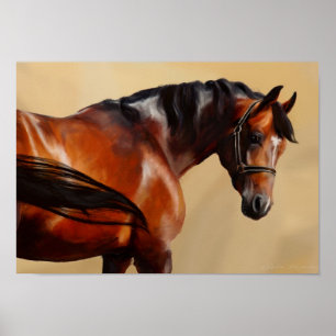 Póster Cavalo do óleo