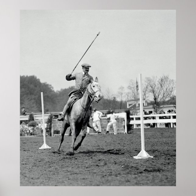 Poster Cavalo e Cavaleiro no Show 1911 (Frente)