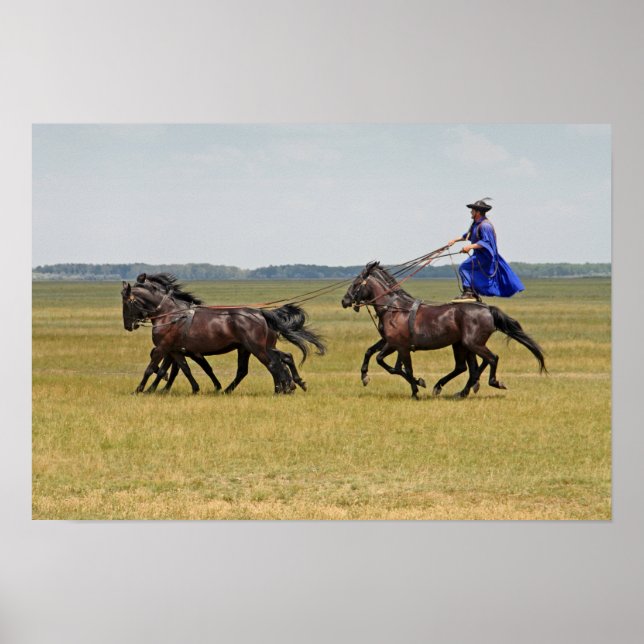 Poster Cavalo e cavalos da Hungria (Frente)