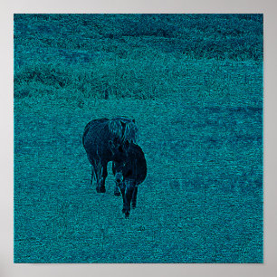 Poster Cavalo e Donkey