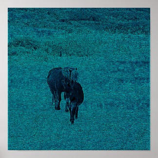 Poster Cavalo e Donkey