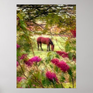 Póster Cavalo e Lilacs