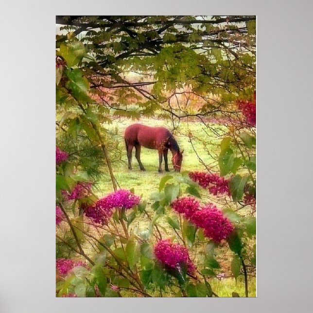 Póster Cavalo e Lilases (Frente)