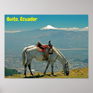 Poster Cavalo e vulcão, Quito, Equador