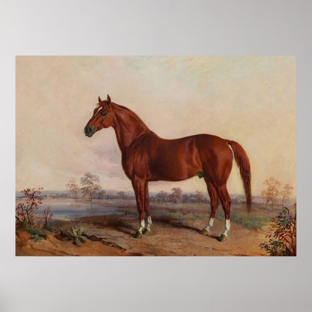 Poster Cavalo em Arte de Vintagem de Paisagem (Frente)