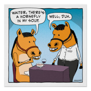 Póster Cavalo Engraçado Reclama sobre a mosca-da-manhã