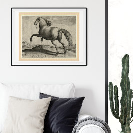 Poster Cavalo Espanhol Renascentista Stallion por Stradan