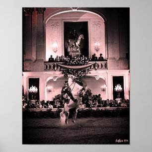 Poster Cavalo Espanhol Vintage Austria Viena Courbette