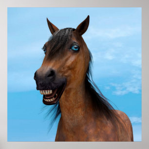 Póster Cavalo Feliz