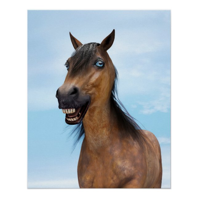 Póster Cavalo Feliz Sorridente da Baía (Frente)
