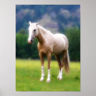 Poster Cavalo ideal do Palomino