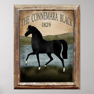 Poster Cavalo Irlandês do Dia de São Patrício, Fazenda pe