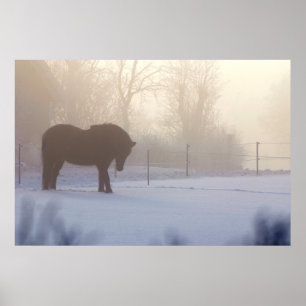 Poster Cavalo islandês em uma névoa gelado