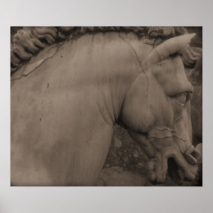 Poster Cavalo italiano da arte de renascimento