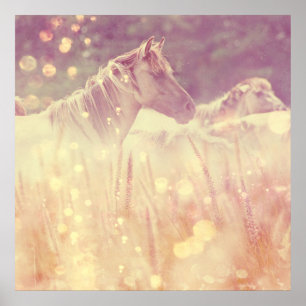 Poster Cavalo Líptico Dourado de Mustang bonito