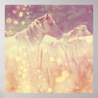 Poster Cavalo Líptico Dourado de Mustang bonito