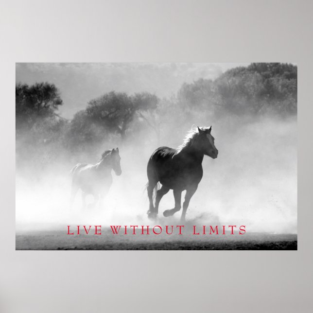 Poster Cavalo Motivacional Branco Negro Vive Sem Limites (Frente)