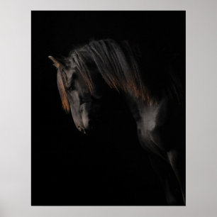 Poster Cavalo Negro