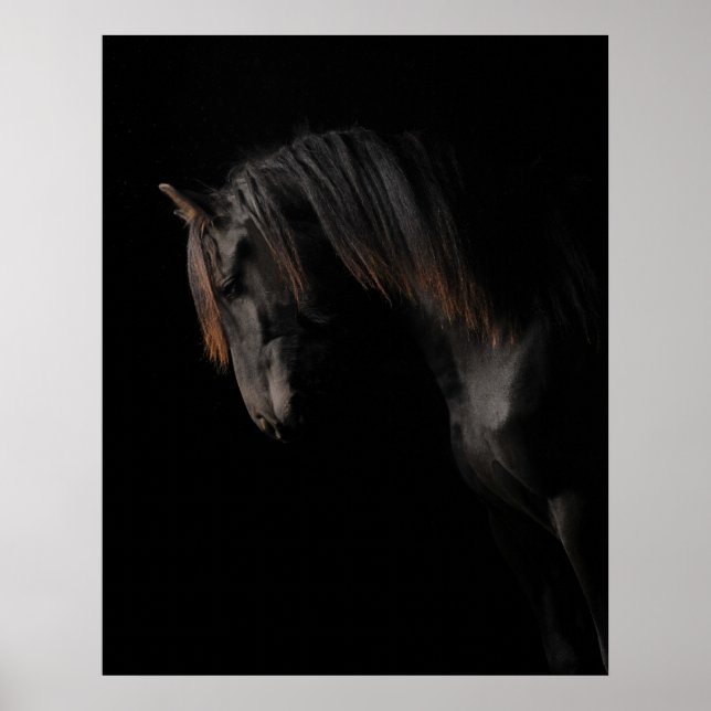 Poster Cavalo Negro (Frente)