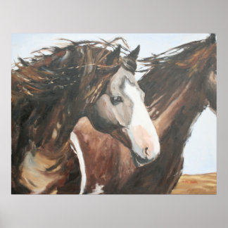 Póster Cavalo Negro, Dia Brilhante