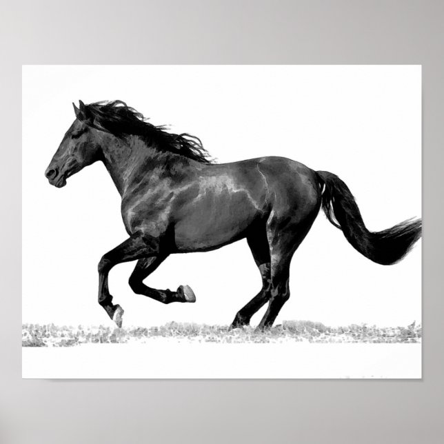 Póster Cavalo Negro e Branco Corrente (Frente)