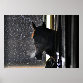 Póster Cavalo no Inverno