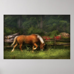 Póster Cavalo - No Prado
