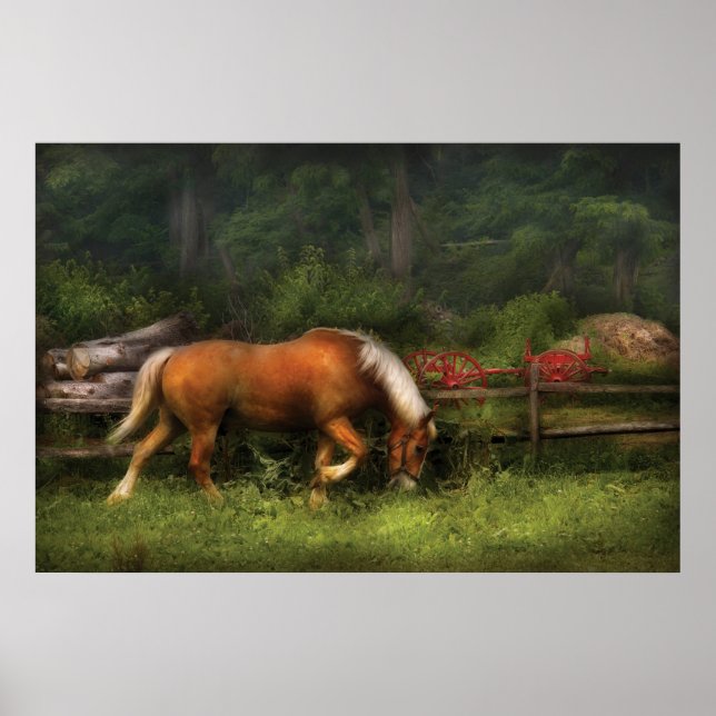 Póster Cavalo - No Prado (Frente)