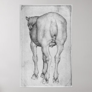 Póster Cavalo, o do álbum de Vallardi