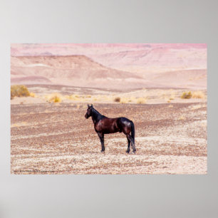 Poster Cavalo P8664 do deserto