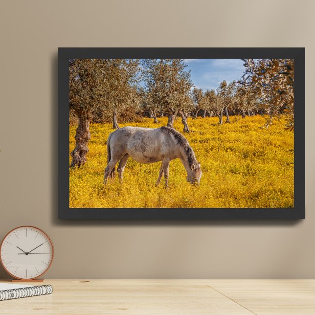 Poster Cavalo pastando em um prado de flores amarelas (Criador carregado)