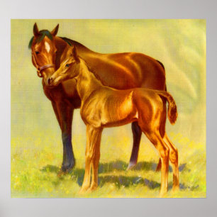Poster cavalo pequeno grande