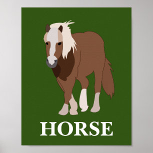 Poster Cavalo Personalizado Animal Cavaleiro Amante de Ca