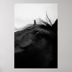 POSTER CAVALO PRETO
