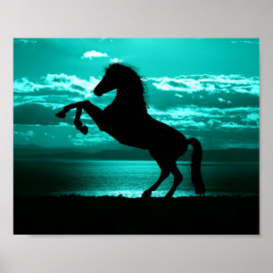 Poster Cavalo Preto Dramático Céu Azul Pacífico