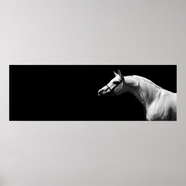 Poster Cavalo Preto e Branco (Frente)