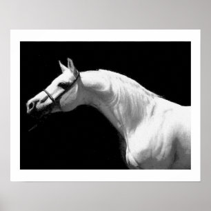 Poster Cavalo Preto e Branco