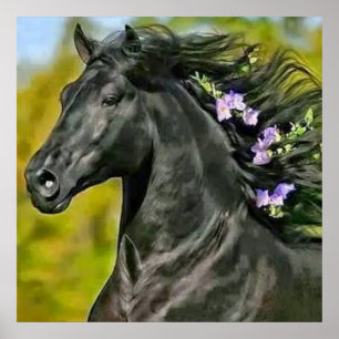 Poster cavalo preto juba florescida, Papel afixar (mate)