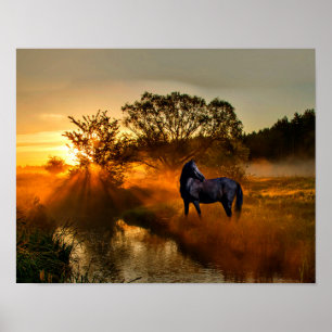 Póster Cavalo preto no nascer do sol ou no por do sol