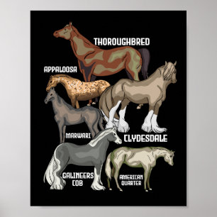 Poster Cavalo Raça Cavalo Dando Presente Mulheres Cavalos